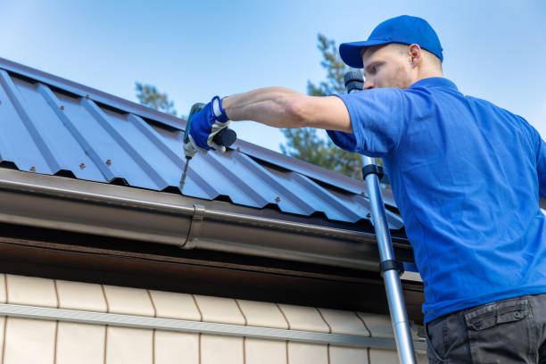 Best Skylight Installation and Repair  in Mazon, IL